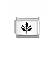 Çelik palamut charm (Çok Renkli)