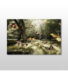 Kelebekler Kanvas Tablo 60x40cm (Karışık)