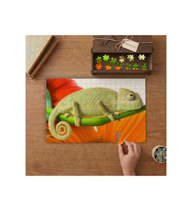 Yeşil Bukalemun Tasarımı 240 parça Ahşap Puzzle Ahşap Kutuda MP10882
