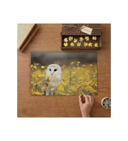 Peçeli Baykuş Tasarımı 240 parça Ahşap Puzzle Ahşap Kutuda MP04551