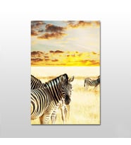 Zebra Kanvas Tablo 80X40 (Karışık)