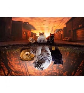 Kedilerin Yansıması Boyama Seti Kasnaklı 40 x 50 cm