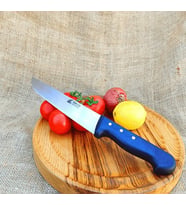 Kasap Bıçağı - 35 Cm Plastik Sap