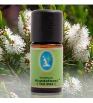 Nuka Yağ Hint Defnesi (Tea Tree) 5 Ml Aromatik Cilt Bakım Masaj