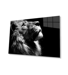 Aslan Hayvan Cam Tablo 4mm Dayanıklı Temperli Cam