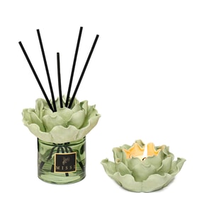 Aura Collection Oda Kokusu & Mumluk Set - White Jasmine (Yeşil)