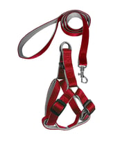 Gezdirme Kayışlı Dokuma Köpek Göğüs Tasma Seti 32*47-110 cm Kırmızı