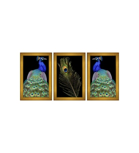 Tavus Kuşu Temalı 3 lü Kanvas Tablo Seti 150 x 70 cm Gold Çerçeve