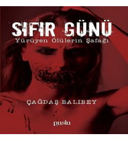 Sıfır Günü