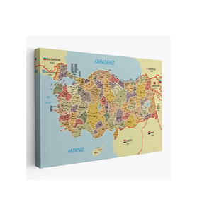 Türkiye Haritası Kanvas Tablo İl ve İlçeli Ayrıntılı Eğitici  Komşulu Tablo 3014