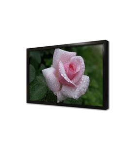 Pembe Gül Çerçeveli Mdf Tablo
