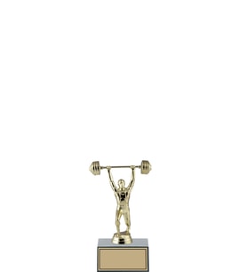 ODAK KUPA - Hediyelik Ürünler - HDY-036 C - 18 cm