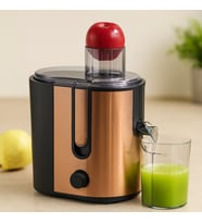 600W Katı Meyve Sıkacağı - 65mm Besleme, Çelik Filtre, 1250ml Posalı Hazne