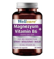 Wellcare Magnezyum + Vitamin B6 Takviye Edici Gıda 30 Tablet