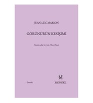 Görünürün Kesişimi