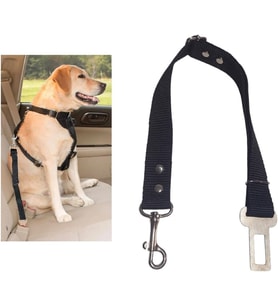 Köpek,Kedi Araç Emniyet Kemeri Tasması (SİYAH)