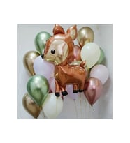 CEYLAN BALON SET