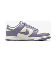 Nike Dunk Low Next Nature Daybreak (W) FZ4349-100