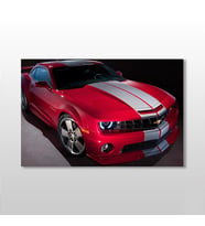 Mustang Kanvas Tablo 105x70cm (Karışık)