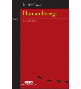 Hamamböceği