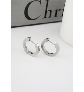 Kadın 316 L Paslanmaz Çelik 2 cm Oval Model Küpe