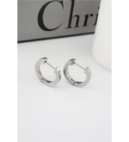 Kadın 316 L Paslanmaz Çelik 2 cm Oval Model Küpe
