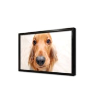 Köpek Çerçeveli Mdf Tablo
