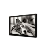 Köpek Çerçeveli Mdf Tablo