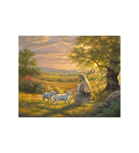 Otlak Sticker(Çerçeveli) 40x50 Sayılarla Boyama Hobi Seti