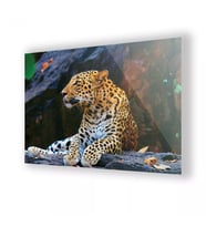 Leopar Resmi Cam Tablo