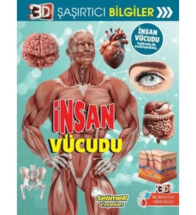 3D Şaşırtıcı Bilgiler - İnsan Vücudu