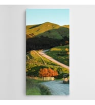 Yeşillikler Üzerinde Yol Kanvas Tablo