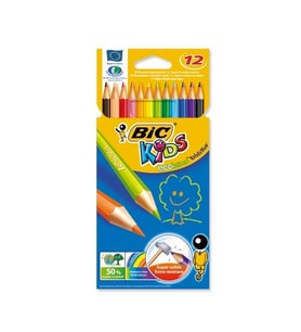 BİC EVOLUTİON KURU BOYA 12 RENK KARTON KUTU (829029)