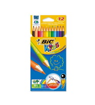BİC EVOLUTİON KURU BOYA 12 RENK KARTON KUTU (829029)