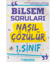 1. Sınıf Bilsem Soruları Nasıl Çözülür Zeki Çocuk