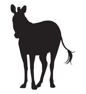 ZEBRA FOLYO STİCKER 90 cm uzunluk (Karışık)