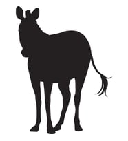 ZEBRA FOLYO STİCKER 90 cm uzunluk (Karışık)