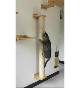 Kedi Tırmalama Aparatı Duvar Monteli 1 metre