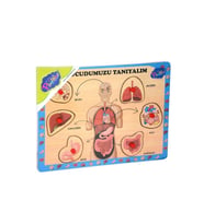 Çocuk Zeka Puzzle Ahşap Oyunları (Çok Renkli)