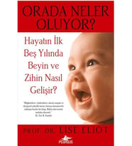 Orada Neler Oluyor