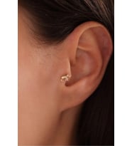 Fil Tragus Küpe