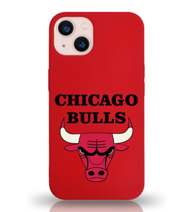 Apple iPhone 13 Uyumlu Lansman Kılıf Chicago Bulls Tasarımlı Altı Kapalı İçi Kadife Kaplı  Kapak (Şeffaf)