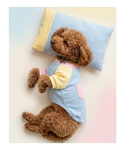Bubbles Pastel Köpek Uyku Takımı  Mini Yastıklı Şeker Renkli Yazlık Köpek Pijama Seti  Küçük Irklar İçin