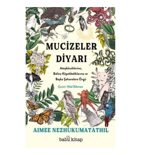 Mucizeler Diyarı: Ateşböceklerine, Balina Köpekbalıklarına ve Başka Şahanelere Övgü