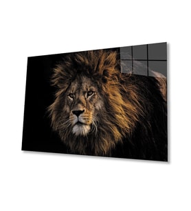 Aslan 9 Cam Tablo