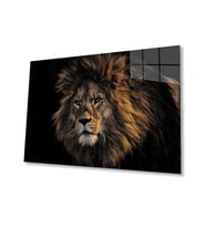 Aslan 9 Cam Tablo