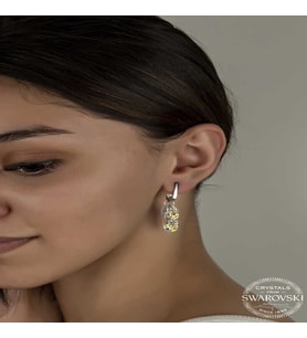 S-warovski Crystal Taşlı Gümüş Salkım Sallantılı Çivili Kadın Küpe