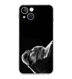 PrintiFy iPhone 13 Mini ile Uyumlu Köpek 1 Kamera Korumalı Şeffaf Kılıf