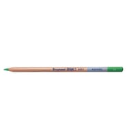 Bruynzeel Design Aquarel Boya Kalemi 66 Green 