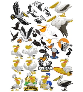 Pelikan Sticker Set 20 Parça Telefon, Tablet, Defter, Laptop Sticker